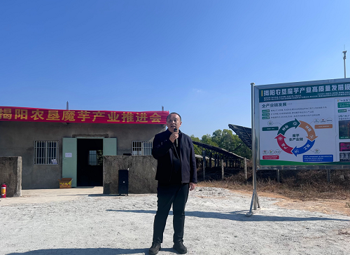 一分快3官方网页版_一分快3(中国)举办魔芋产业推进会1.png